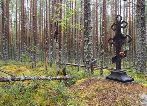 Фотография Сергея Лебедева