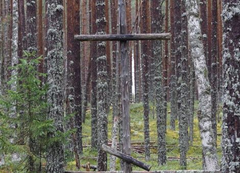 Фотография Сергея Лебедева