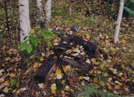 Фотография 2007 года