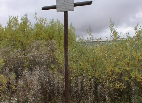 Фотография 2007 года