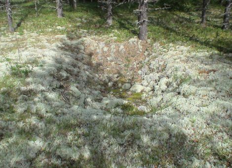 Фотография 2007 года. Фотограф З.Богумил