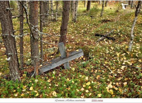 Фотография 2009 года. Фотограф: Г.Алекна