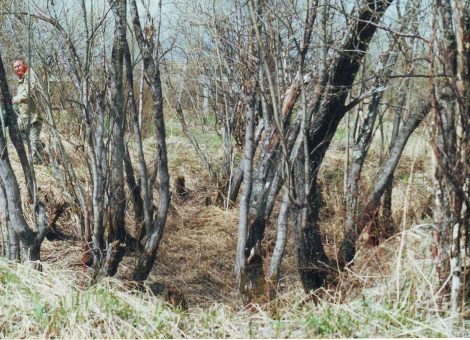 Фотография 2001 года. Предоставлена Интинским краеведческим музеем 