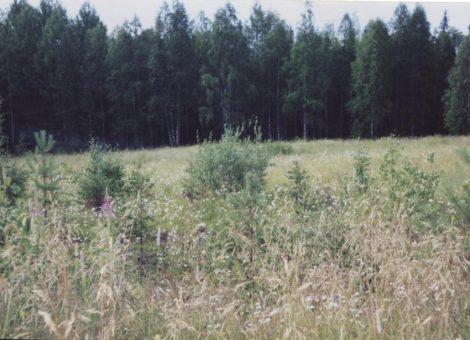 Фотография 2003 года. Источник: Архив НИЦ «Мемориал»