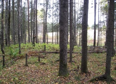 Фотография 2009 года