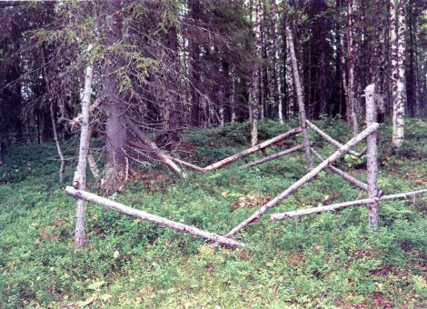 Фотография 2000 года