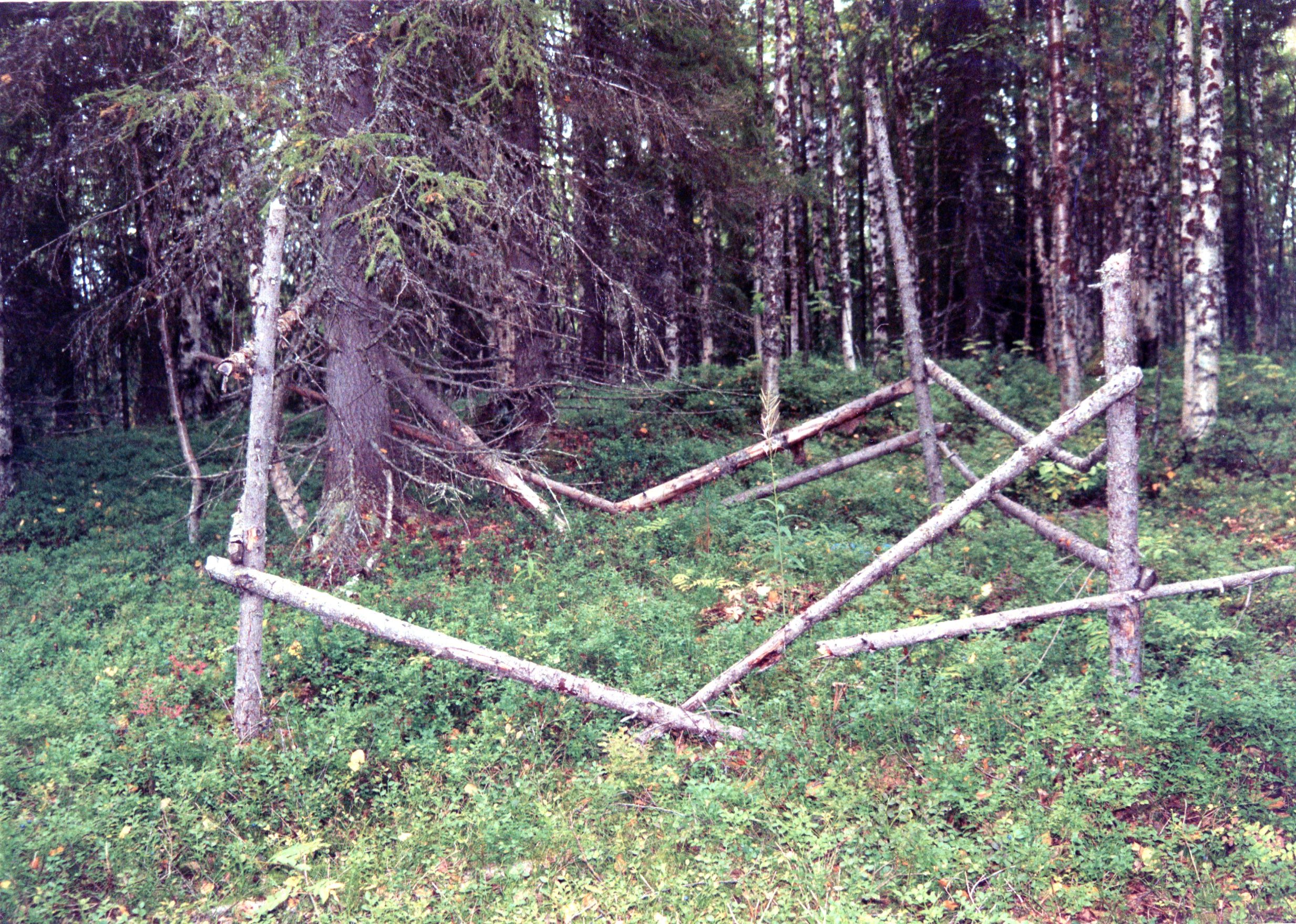 Кладбище заключенных лагпункта Заозерный