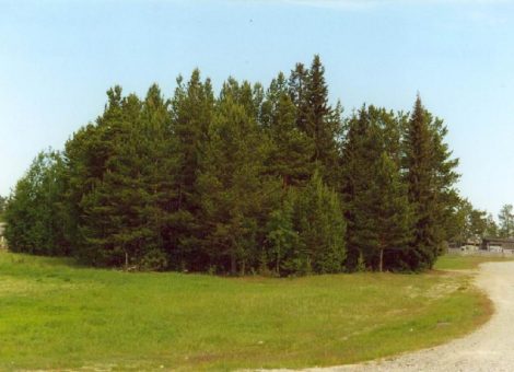 Фотография 2005 года. Архив НИЦ «Мемориал»