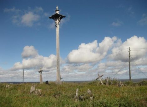 Фотография 2012 года. Источник: http://www.hunting.ru/reports/view/69870/