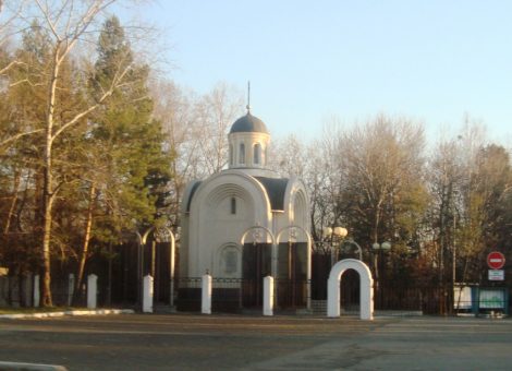 Фотография 2013 года