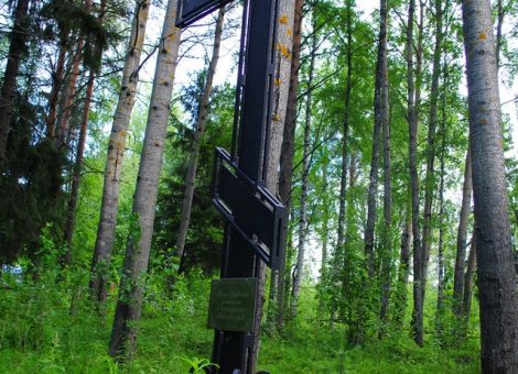 Фотография 2012 года. Предоставлена Центром патриотического воспитания и допризывной подготовки молодежи, г. Архангельск