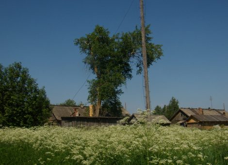 Фотография 2013 года. Предоставлена Г.А. Даниловой
