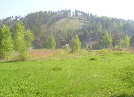 Фотография 2006 года