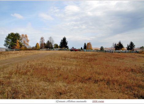 Фотография 2006 года