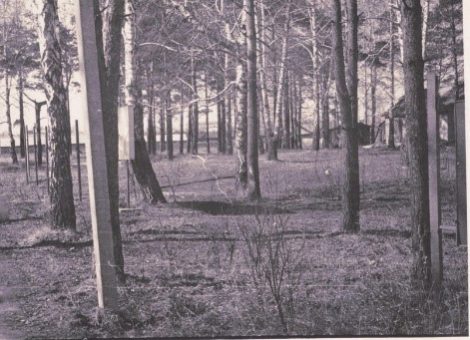 Фотография из статьи Краевского П. Тайшетские заключенные гулага 
