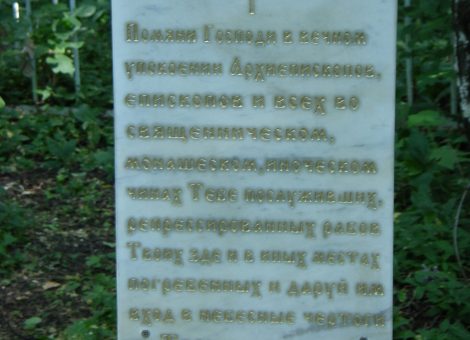 Фотография 2010 года