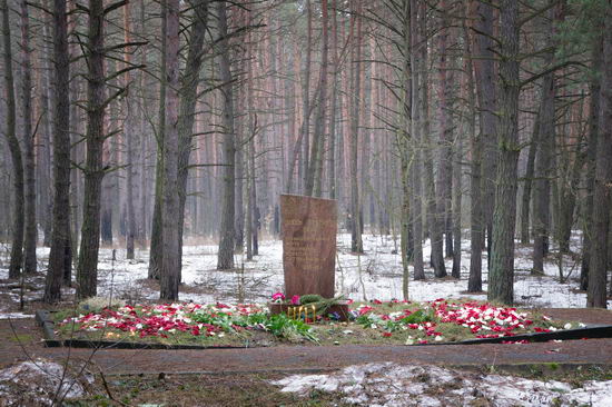 Место расстрелов и захоронений в городе Курск (урочище Солянка)