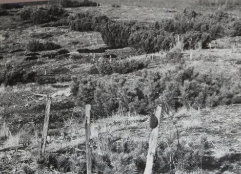Фотография 2003 года.  Источник: Историко-краеведческий музей в пос.Усть-Омчуг