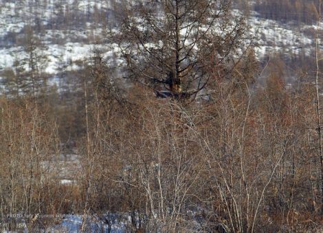 Источник: http://cycymah.ru/index.php?dn=article&to=art&id=144