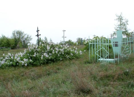 Фотография 2012 года