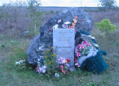 Источник: http://nashural.ru/Spravka/eto-nashey-istorii-stroki.htm