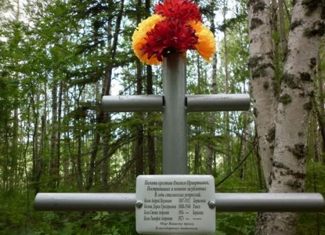 Источник: http://nkvd.tomsk.ru/projects/regional_memorials_and_tablets/memorials_memorial_tablets_regional/Borisovka/