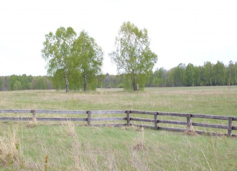 Фотография 2008 года. Фотограф: В.Ханевич
