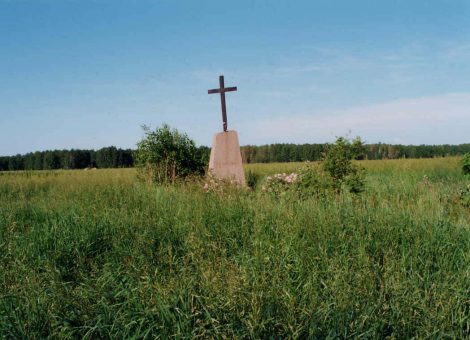 Источник: http://www.gedenkbuch.rusdeutsch.ru/nekropoli-i-pamyatnye-znaki/chelyabinskaya-oblast