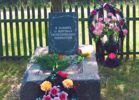 Фото Ольшанского Н.А., 2010